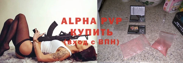 СК Алексин
