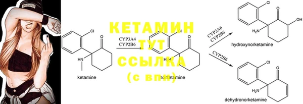 СК Алексин