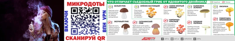omg ONION  Ардатов  Псилоцибиновые грибы прущие грибы 